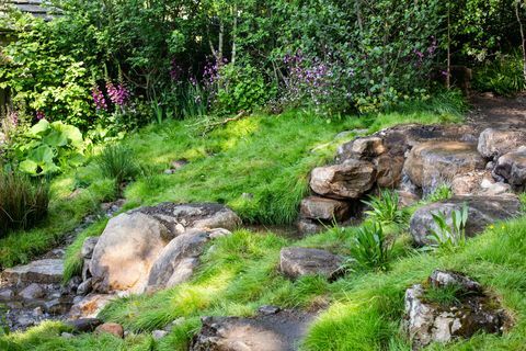 Üdvözöljük Yorkshire-ben a Landform Consultants, Mark Gregory közvetítésével - a Chelsea Flower Show 2018