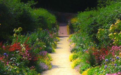 Angol-ország-garden-path