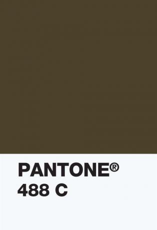 Pantone Color Institue - 448c színminta - átlátszó kanapé