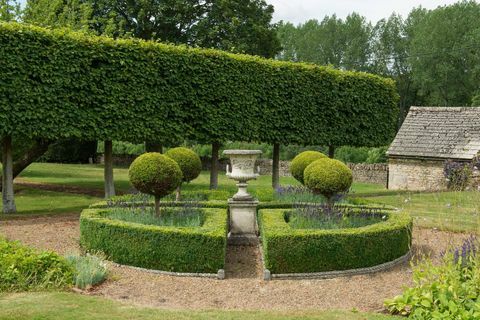 Brook House - Sherborne Estate - Őszióra - kerti sövény - Butler Sherborn