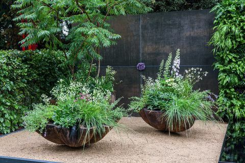 rhs chelsea virágbemutató 2021 konténerkertek