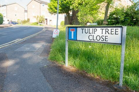 Tonbridge - Tulipánfa bezárása - Royal Mail