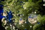 Karácsonyfa bérlése - amit tudnod kell