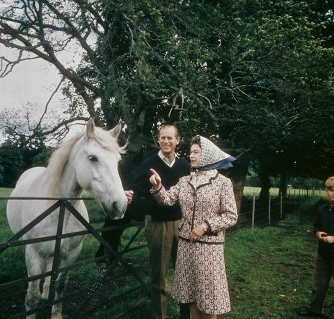 Erzsébet királynő és Fülöp herceg meglátogat egy farmot a skóciai balmoral birtokon ezüst házassági évfordulójuk alkalmával, 1972. szeptember fotó: fox photoshulton archivegetty images