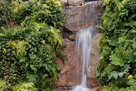 A Trailfinders „felfedezetlen latin-amerikai kertje”, Jonathan Snow tervezte - Chelsea Flower Show 2019