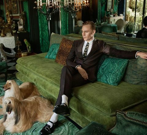 Tom hiddleston egy gucci reklámkampányban hajnalra lőtt