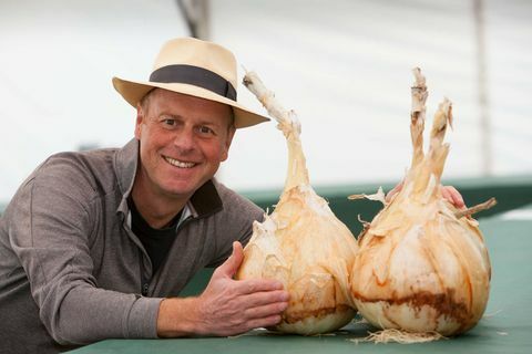  Joe Swift nézi a hagymát a CANNA brit óriás zöldség bajnokságon