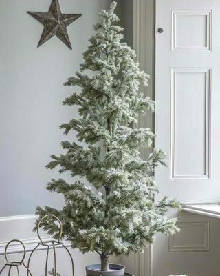 Havas karácsonyfa (170 cm)