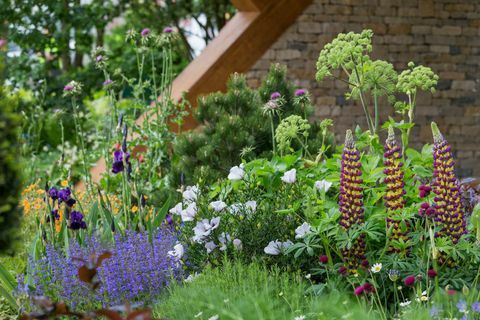 A Morgan Stanley kert. Tervezte: Chris Beardshaw. Támogatja: Morgan Stanley. RHS Chelsea Flower 2017.