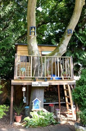 A Faraway Treehouse megnyeri az Egyesült Királyság legjobb faház versenyét