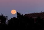 Mi a betakarítási hold? Mikor és hol lehet megtekinteni az őszi első telihold