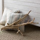 Dekoratív természetes kaliforniai driftwood ág