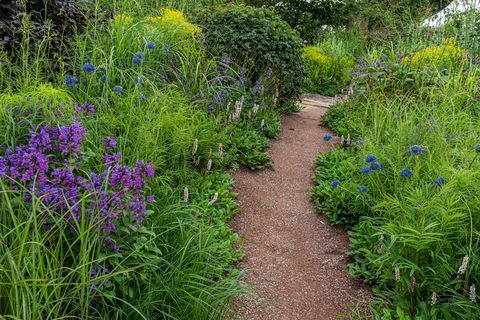 rhs kert a zöld jövőért - Jamie Butworth Hampton Court palota kertfesztivál 2021