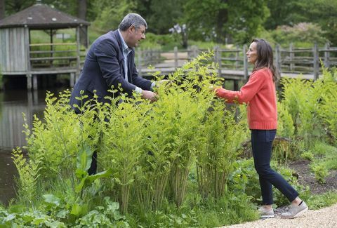 Philippa Craddock és John Anderson megvitatják a Virágkijelzőket az esküvőre a Savill Kertben