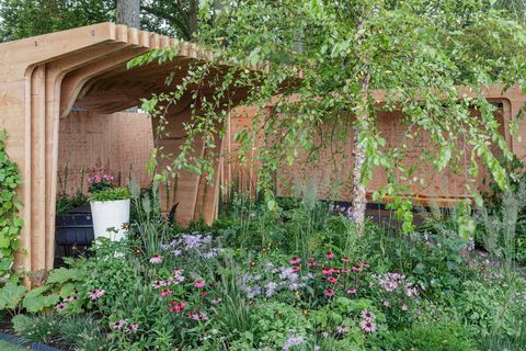 rhs chelsea virágbemutató 2021 show gardens firenzei csalogány kert