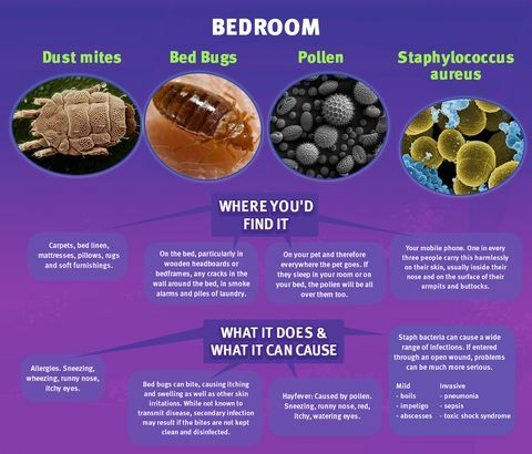 Hálószoba baktériumok - Online matrac