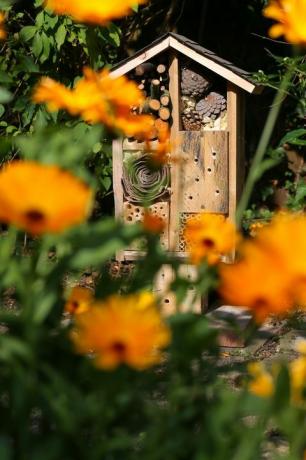 Fa rovarház kertjében Dekoratív Bug Hotel és Katicabogár és