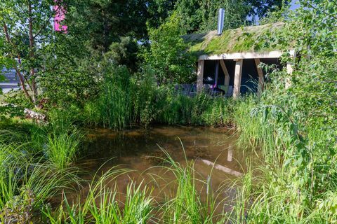 Breckland Beauty - az RHS Hampton Court Palace virágbemutató 2018