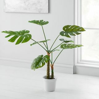 Faux cserepes Monstera növény