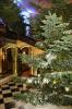 A Claridge's Hotel varázslatos erdő témájú designer karácsonyfát mutat be