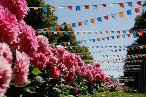 Rhs Hampton Court Palace Garden Fesztivál 2019