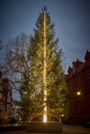 Antony Gormley Connaught Christmas Tree 2016-ot mutatják be Mayfair-ben