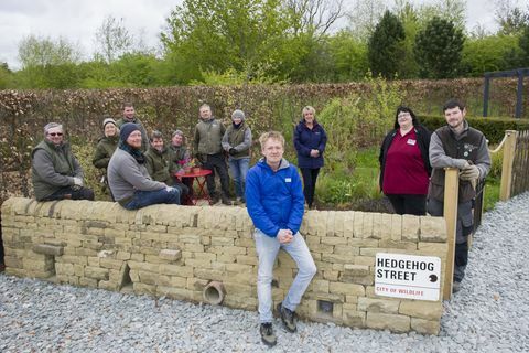 Az Egyesült Királyságban az első állandó Hedgehog utcai kertet a RHS Harlow Carr-nál, North Yorkshire-ben mutatták be.