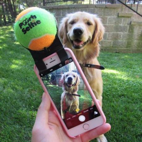 pooch szelfi okostelefon melléklete a kutyák fényképezéséhez