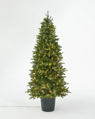 Bala zöld cserepes, előre megvilágított karácsonyfa, 7ft
