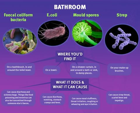 Fürdőszoba baktériumok - Online matrac