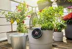 Chelsea Flower Show: Dobbies nyeri a legjobb fenntartható kerti terméket