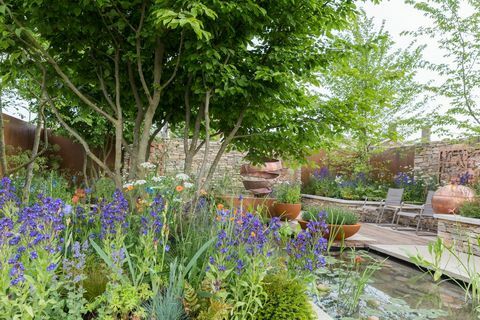 A csendes medencefű kert, amelyet David Neale tervez - Növekszik a tér - Chelsea Flower Show 2018