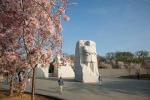Nézze meg a D.C. Cherry Blossoms élő közvetítését a koronavírus közepette