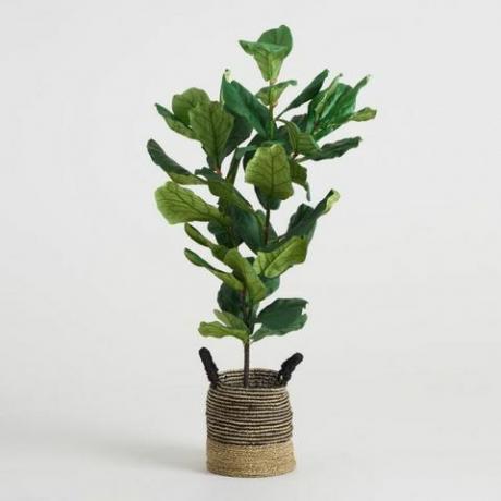 Faux Fiddle-Leaf füge növény