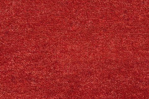 Vértes kép egy tiszta és világos vörös szőnyegen