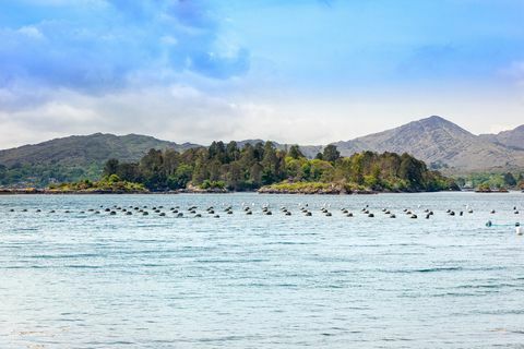 glengarriff kastély eladó Írországban