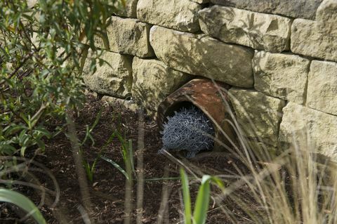 Az Egyesült Királyságban az első állandó Hedgehog utcai kertet a RHS Harlow Carr-nál, North Yorkshire-ben mutatták be.