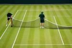 Mennyire könnyű elérni a tökéletes Wimbledoni teniszpázsit a saját kertjében?