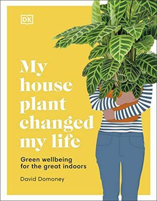 A házi növényem megváltoztatta az életemet: Zöld jólét a nagyszerű beltérben