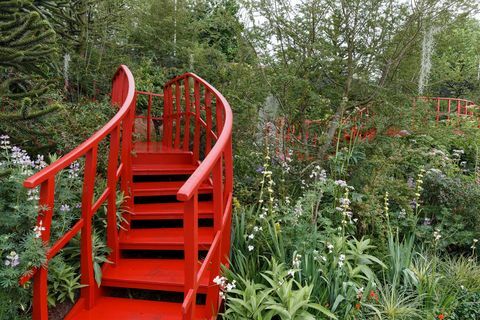 A Trailfinders „felfedezetlen latin-amerikai kertje”, Jonathan Snow tervezte - Chelsea Flower Show 2019