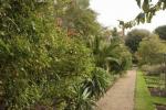 A Chelsea Physic Garden Anglia legdrágább kertvárosa