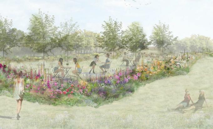 Rózsateakert, Rhs-kert, tervezte: Pollyanna Wilkinson, Rhs Hampton Court Palace Garden Festival 2022