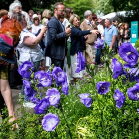 Látogatók tömege nézi a kertterveket az Rh Chelsea virágkiállításon, Londonban, Angliában, 2019. május 22-én. Fotó: dominika zarzyckanurphoto