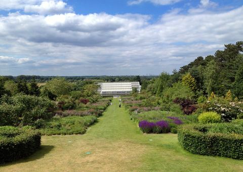 RHS Wisley park és üvegház, Anglia