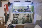 Otthoni akvárium: Az akvárium alapvetően élő művészet otthonában – így tarthatja meg