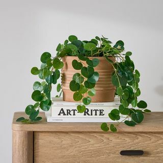 Faux Trailing Leaf Plant