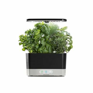 AeroGarden szüret