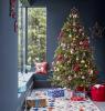 Karácsonyi visszaszámlálás: A december 6-a a tökéletes karácsonyfa kiválasztására szolgál
