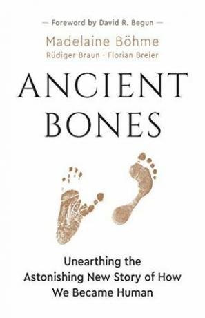 Ősi csontok: annak az elképesztő új történetnek a feltárása, hogyan váltunk emberré