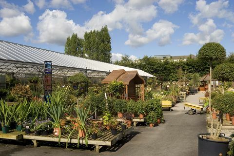 kertközpont Knutsfordban, Cheshire, Egyesült Királyság